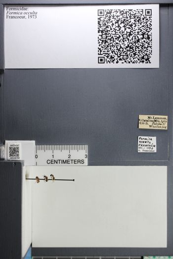 Media type: image; Entomology 528790